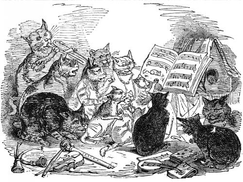 Leading a workshop can be like trying to get cats to sing in tune, but here are a few suggestions based on what worked and didn't at the 2014 Mass Poetry Festival