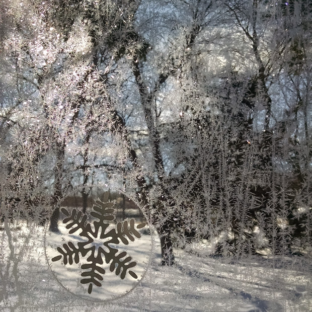 A shimmering visit from Jack Frost on the back porch last week.  Photo by Meg Winikates.