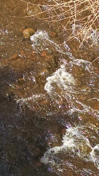 Mill Brook, from the Mill Street Bridge, Arlington, MA.  Photo by Meg Winikates