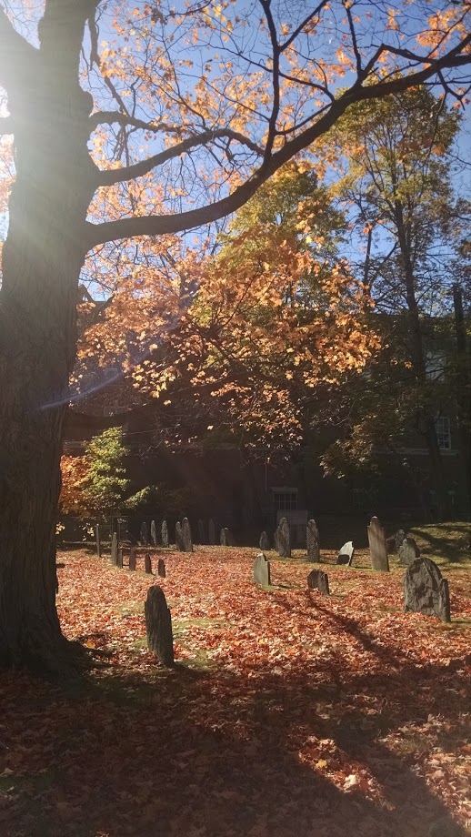 Graveyard, Arlington MA, October 2015. Photo by Meg Winikates