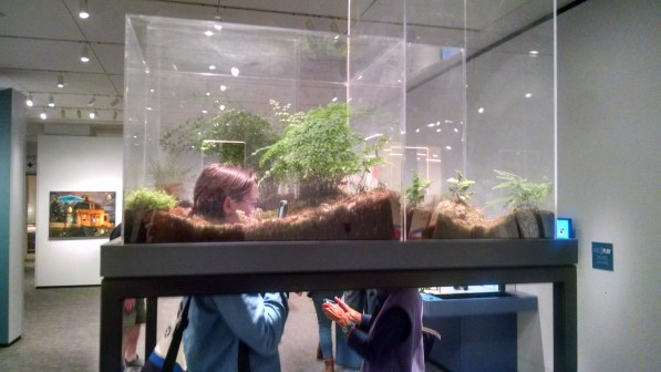 IMG_20160430_153942058_HDR