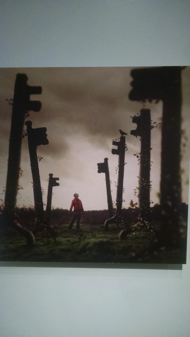 IMG_20160430_154243772