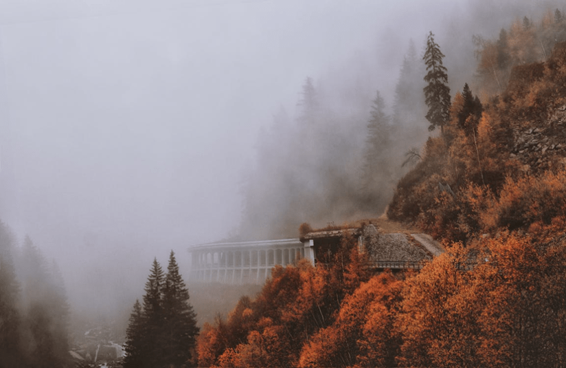 Fall Writing Frenzy 2025: “Forewarning”